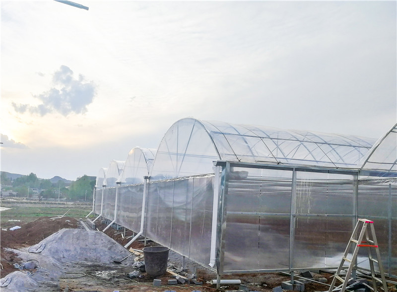 農(nóng)業(yè)薄膜溫室大棚